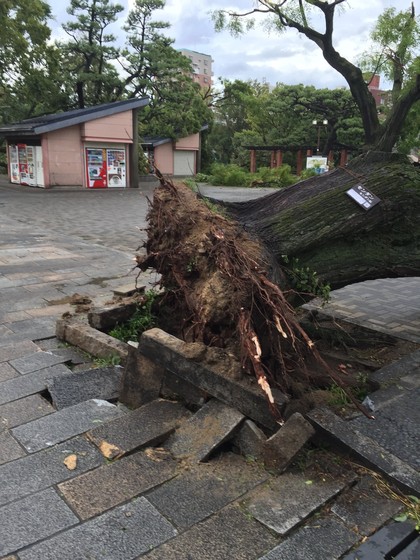 台風21号