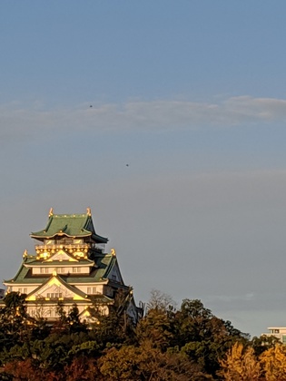 大阪マラソン完走しました