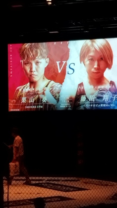 #537　試合観戦